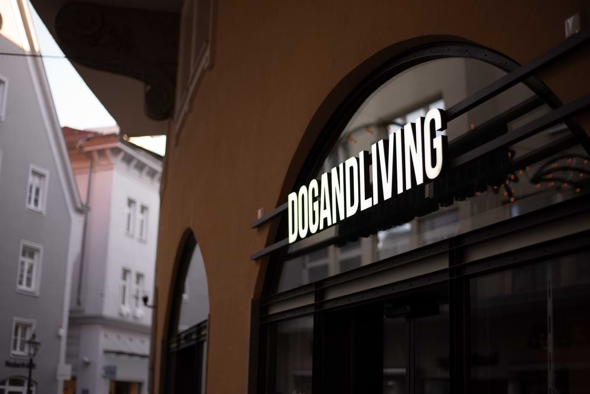 0030-Frontbeleuchtung-auf-Schiene