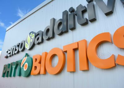 Hallenbeschriftung als 3D-Buchstaben